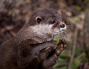 Photo Copyright of Ryan Richards