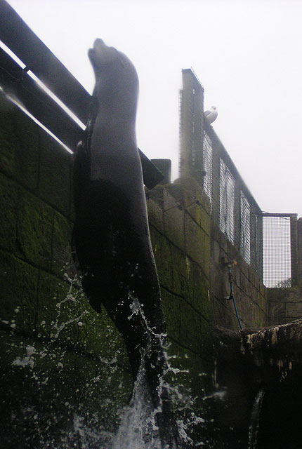 Photo copyright of Sam Matthews