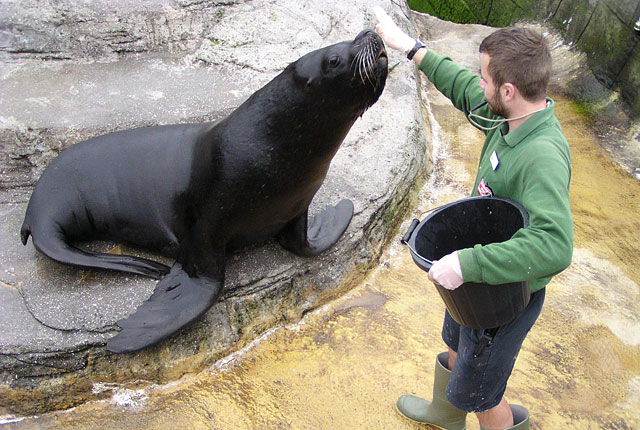 Photo copyright of Sam Matthews