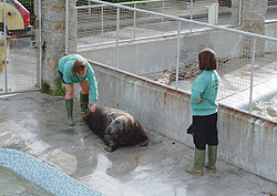 Ellen, and Tamar with Scooby