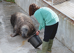 Tamar shows Scooby that all the fish are gone !!