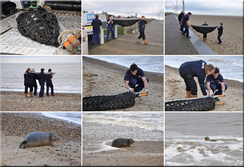Seal Release