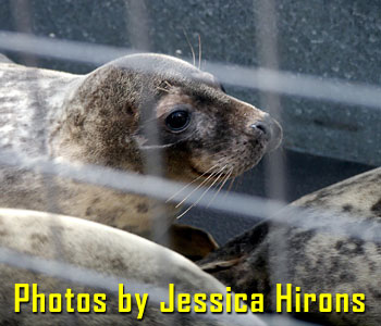 Photo taken by Jessica Hirons