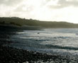 Photos by Jessica Hirons