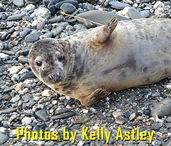Photo taken by Kelly Louisa Astley