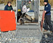 Photos by Kelly Astley