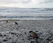 Photos by Kelly Astley