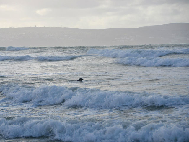 Photo taken by Kelly Astley