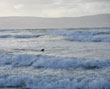 Photos by Kelly Astley