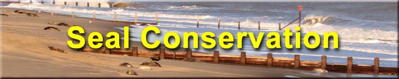 Seal Conservation