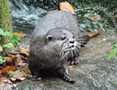 Photo Copyright of Stuart and Gemma Tucker