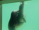 Photo Copyright of Stuart and Gemma Tucker