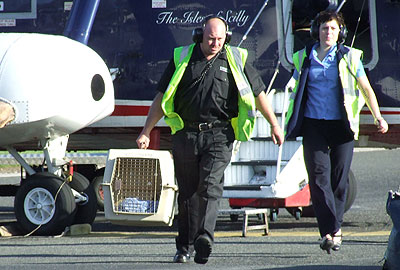 Skittles being transferred from the helicopter on 13th September 2008