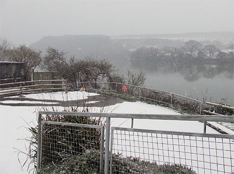 View of Estuary