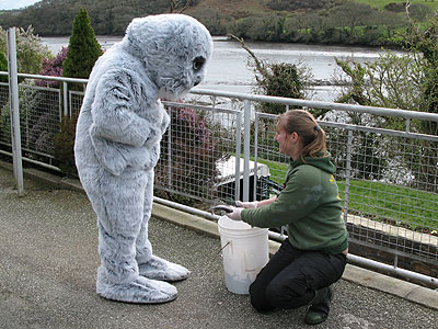 Wally tries to pinch a fish during feeding time!