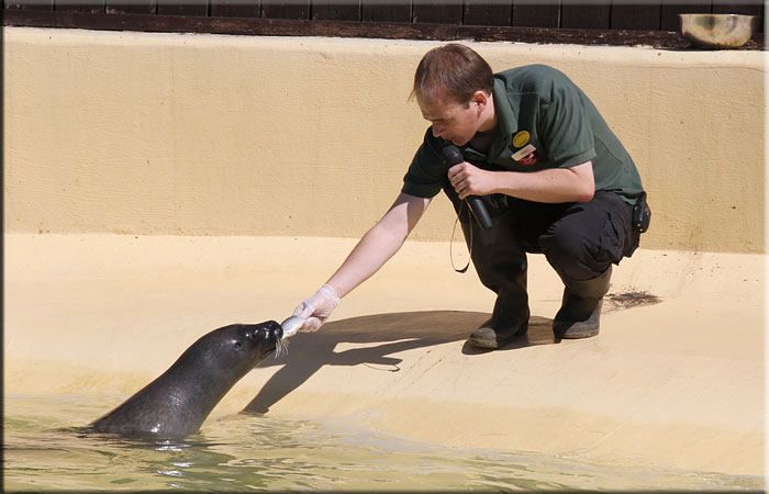 James feeding Tyne