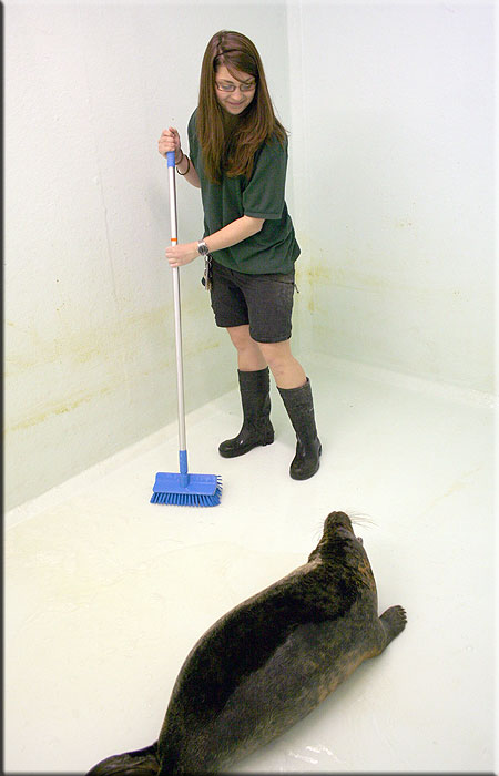 Doris cleaning Damien's weaning pool