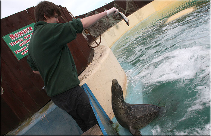 Elliott feeding Tyne