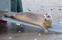 Photo was taken by Rachael Vine