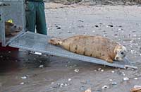 Photo was taken by Rachael Vine