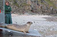 Photo was taken by Rachael Vine