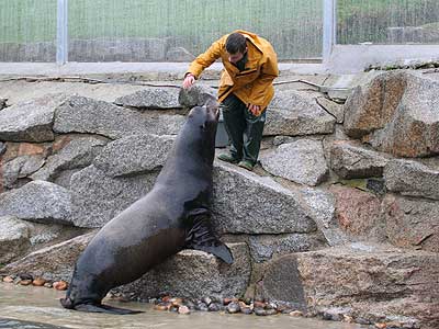 Dan with Rocky