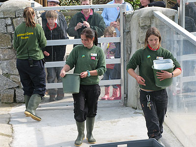 Clare, Jenna and Amy (part of the Animal Care Team)