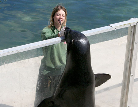 Amy with one of our fur seals