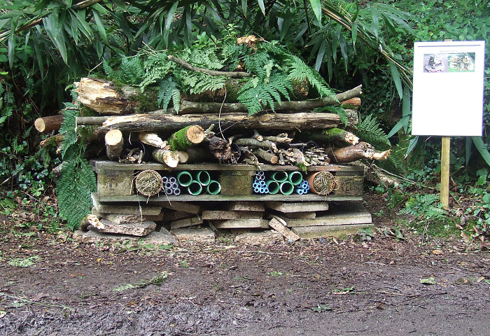 Cornish Seal Sanctuary opens not one but THREE hotels!