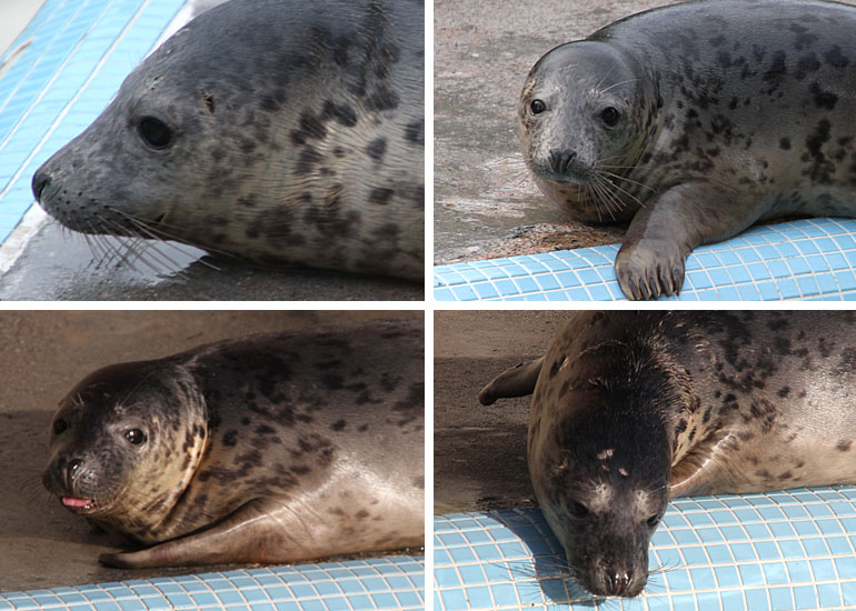 Ugg - photo taken on 29th December 2010