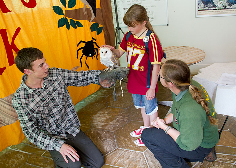 VISITORS INTERACTION