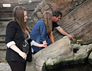 Visitor Interaction