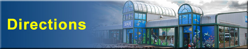 [Visitors Information]