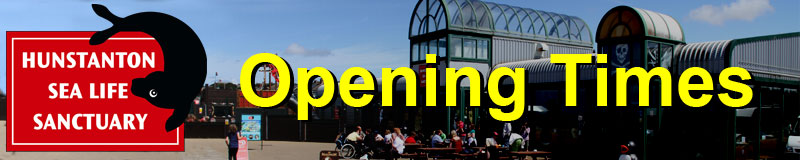 [Visitors Information]