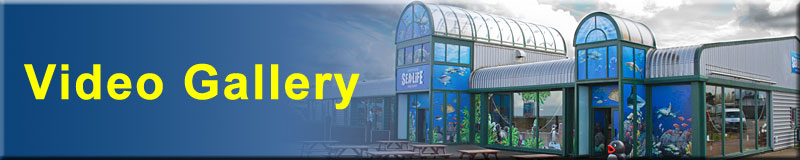 Photo - Video Gallery