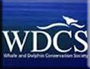 Walk for Whales : 8th July 2012
