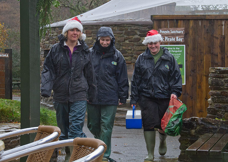 Christmas Fayre 2012